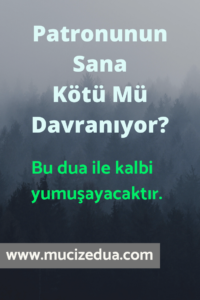 Kötü Davranan Patrona Dua