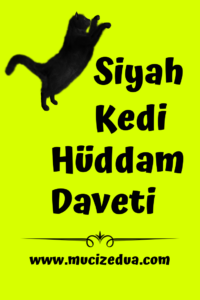 Siyah Kedi Hüddam Daveti